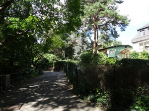 Path through suburbs