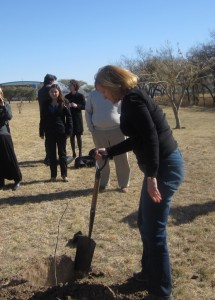 2013_08_16_treePlanting1a