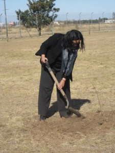 2013_08_16_treePlanting4a