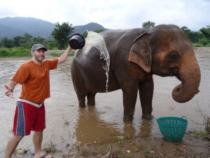 Elephant washing