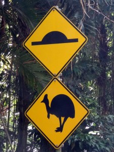 Cassowary crossing