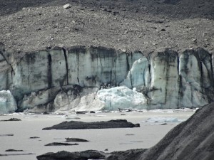 Hooker glacier up close