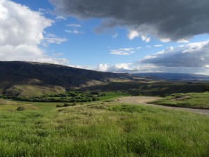 Driving to Queenstown