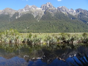 Pitstop at Mirror Lakes on the drive to Milford Sound