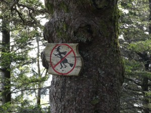 DSC06745_blog