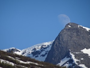 Moon's out!