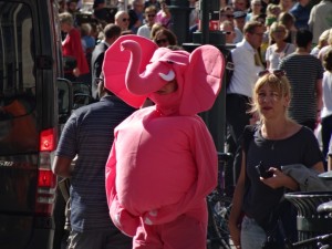 Elephant on the street