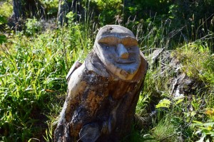 DSC_1014_blog