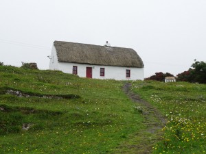 Thatched roof houses that used to be popular on the island