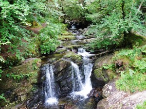 Torc Waterfall