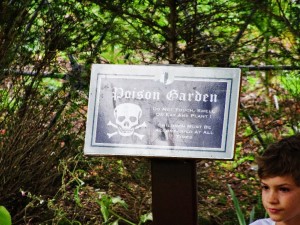 Poison Garden, a la Harry Potter