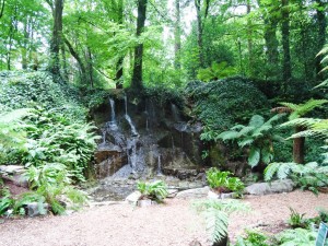 Fern Garden and Waterfall