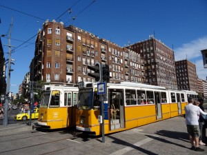 Tram in Vienna.  Great public transportation in both cities.  Another 'train' photo for Sam