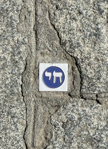 IMG_9243